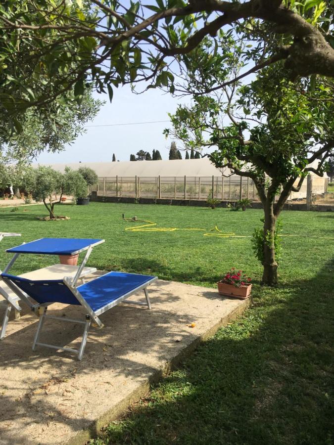 Villa Daniele Borgo Montenero Eksteriør billede